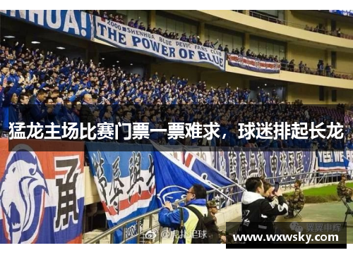 猛龙主场比赛门票一票难求，球迷排起长龙